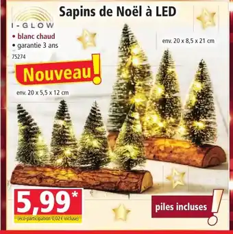 Norma Sapins de Noël à LED offre