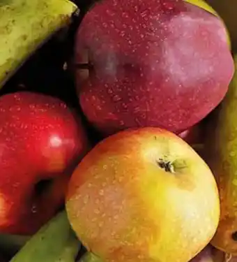Lidl Pomme bicolore (¹) offre