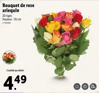 Lidl Bouquet de rose arlequin offre