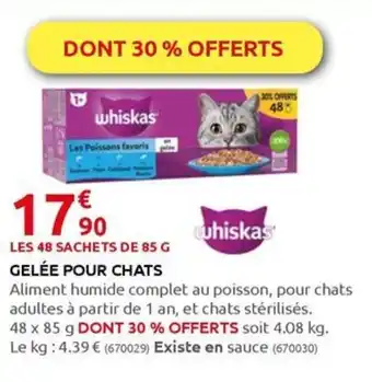 Rural Master GELÉE POUR CHATS offre