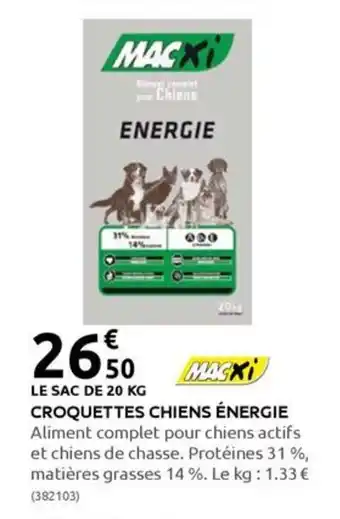 Rural Master CROQUETTES CHIENS ÉNERGIE offre