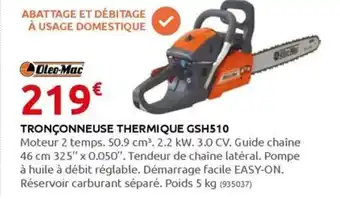Rural Master TRONÇONNEUSE THERMIQUE GSH510 offre