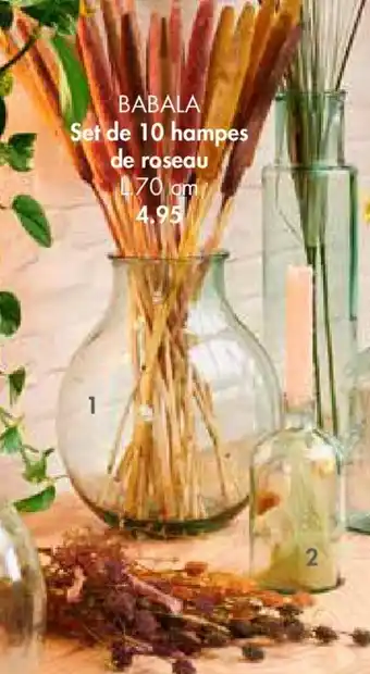 Casa Set de 10 Hampes de roseau offre