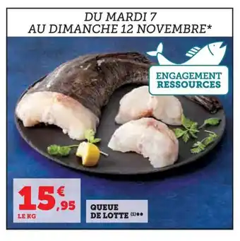 Hyper U QUEUE DE LOTTE (¹) offre