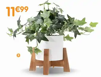 b&m Lièrre en pot avec support en bois offre