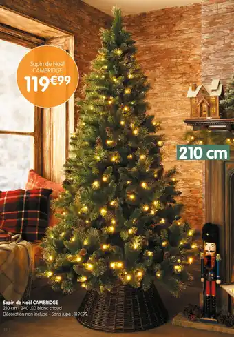 b&m Sapin de noël cambridge offre