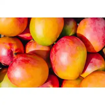 Carrefour Mangue offre
