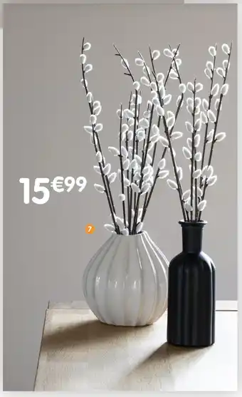 b&m Chatons dans vase blanc offre