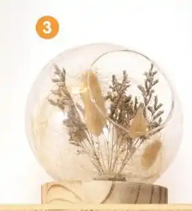 b&m Fleurs séchées boule en verre offre