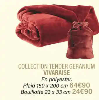 Vivaraise collection tender geranium