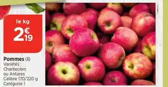 Bi1 POMMES offre