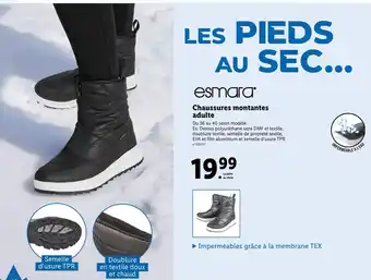 Lidl Esmara chaussures montantes adulte offre