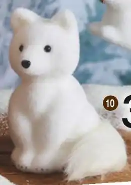 Cora x Carrefour Renard blanc offre