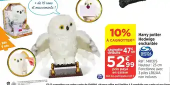 Harry potter hedwige enchantee