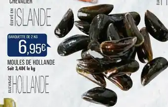 Match Moules de hollande offre