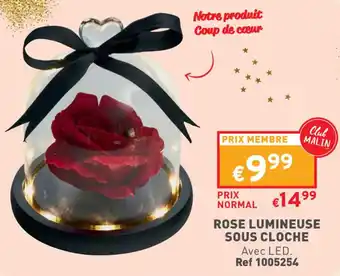 Trafic ROSE LUMINEUSE SOUS CLOCHE offre