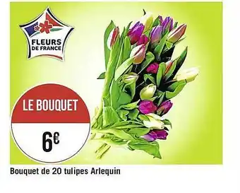 Casino Supermarchés Bouquet De 20 Tulipes Arlequin offre
