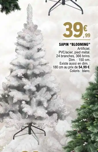 E.Leclerc SAPIN "BLOOMING offre
