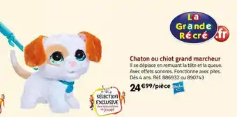 La Grande Récré Chaton ou chiot grand marcheur offre
