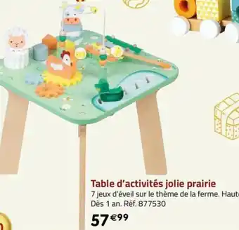 La Grande Récré Table d'activités jolie prairie offre