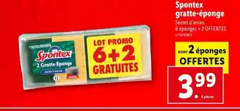 Lidl Spontex spontex gratte-éponge offre