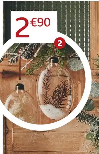 Jardiland Boule “fleurs séchées et neige” offre