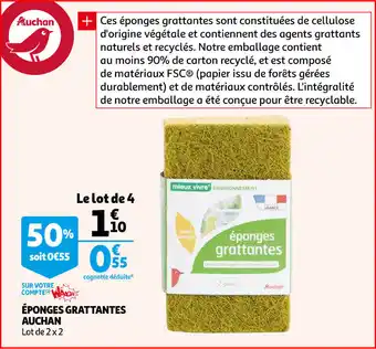 éponges Grattantes Auchan