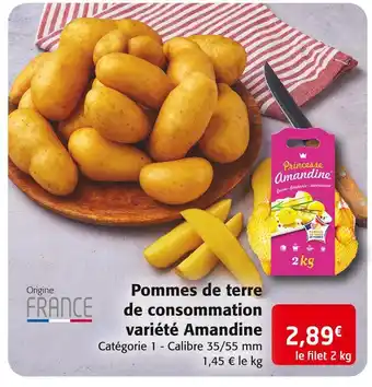 Colruyt Pommes de terre de consommation variété amandine offre