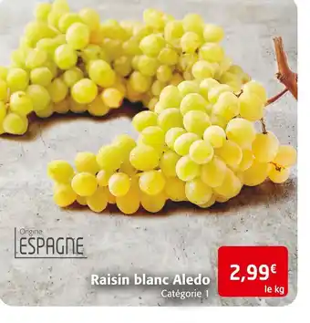 Colruyt Raisin blanc aledo offre
