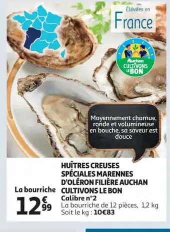 HUÎTRES CREUSES SPÉCIALES MARENNES D'OLÉRON FILIÈRE AUCHAN CULTIVONS LE BON