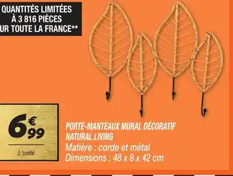 PORTE-MANTEAUX MURAL DĂCORATIF NATURAL LIVING