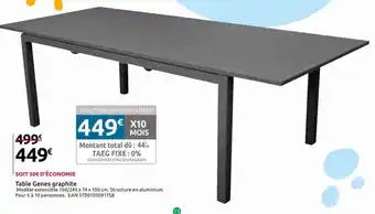 Mr Bricolage Table Genes graphite offre