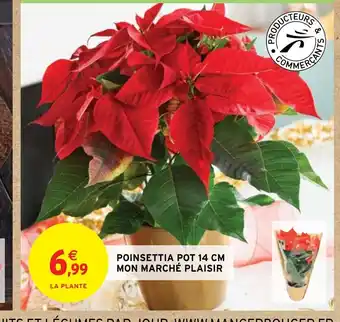 Intermarché POINSETTIA POT 14 CM MON MARCHÉ PLAISIR offre