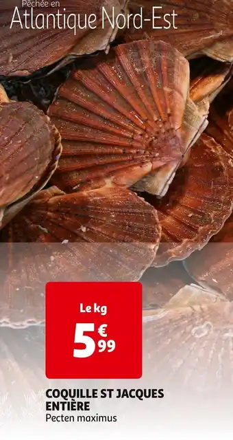 Auchan COQUILLE ST JACQUES ENTIÈRE offre