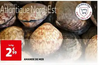 Auchan AMANDE DE MER offre