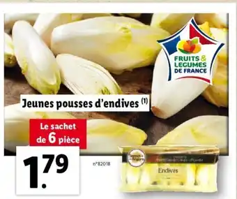 Lidl Jeunes pousses d'endives offre