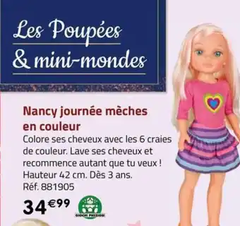 Nancy journée mèches en couleur
