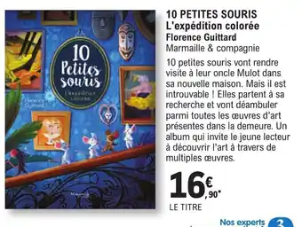 10 PETITES SOURIS L'expédition colorée Florence Guittard Marmaille & compagnie