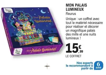 MON PALAIS LUMINEUX Fleurus
