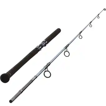 Decathlon Canne pêche du silure bigfight-5 240 60/150 gr offre