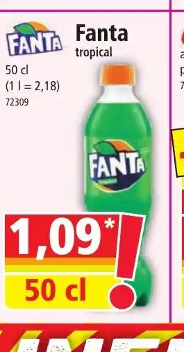 Norma Fanta offre