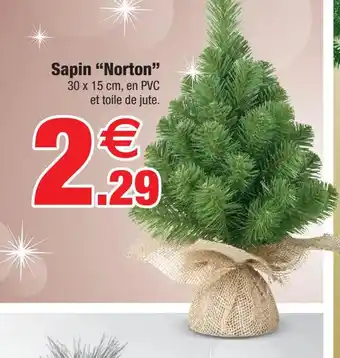 Bazarland Sapin "Norton offre