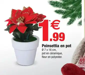 Bazarland Poinsettia en pot offre