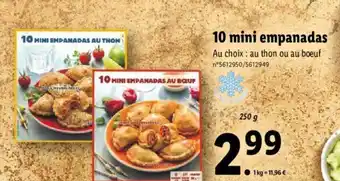 Lidl 10 Mini Empanadas offre