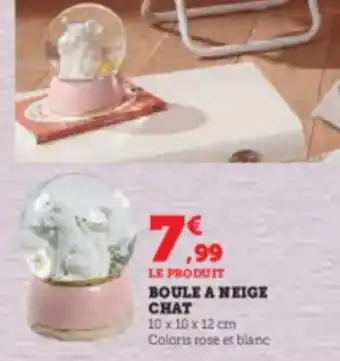 Super U BOULE A NEIGE CHAT offre