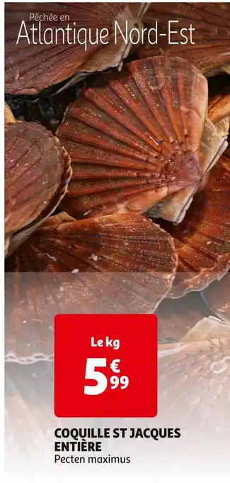 Auchan Pavillon france coquille st jacques entière offre