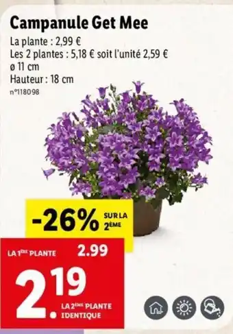 Lidl Campanule Get Mee offre