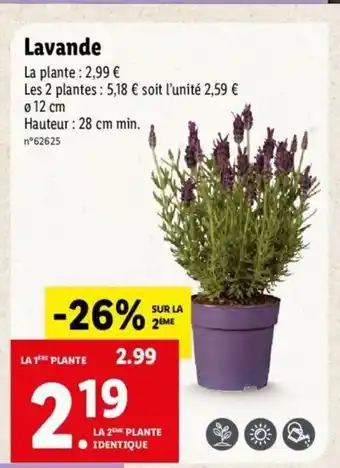 Lidl Lavande offre