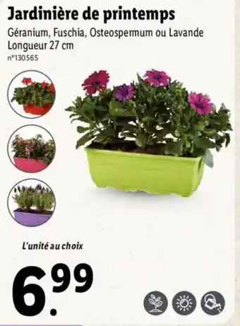Lidl Jardinière de printemps offre