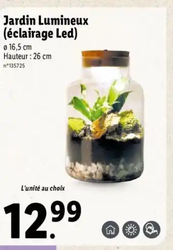 Lidl Jardin Lumineux offre